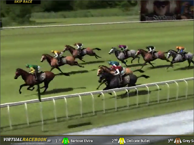 Course de chevaux